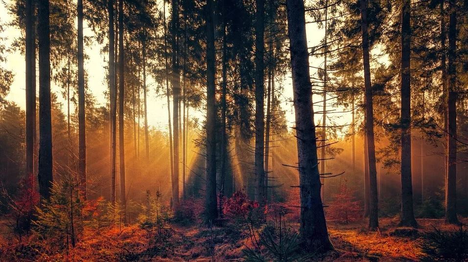 herfstbLOTEvOETENpARK