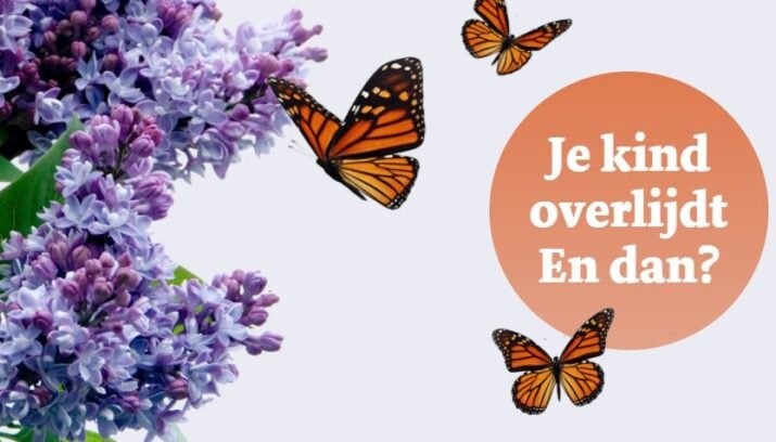 DagVlinder