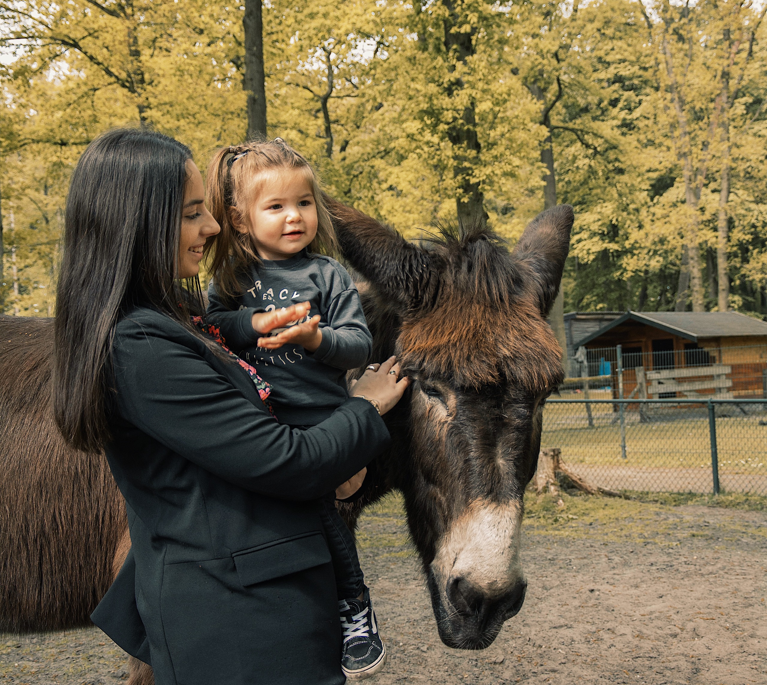 Kinderboerderij