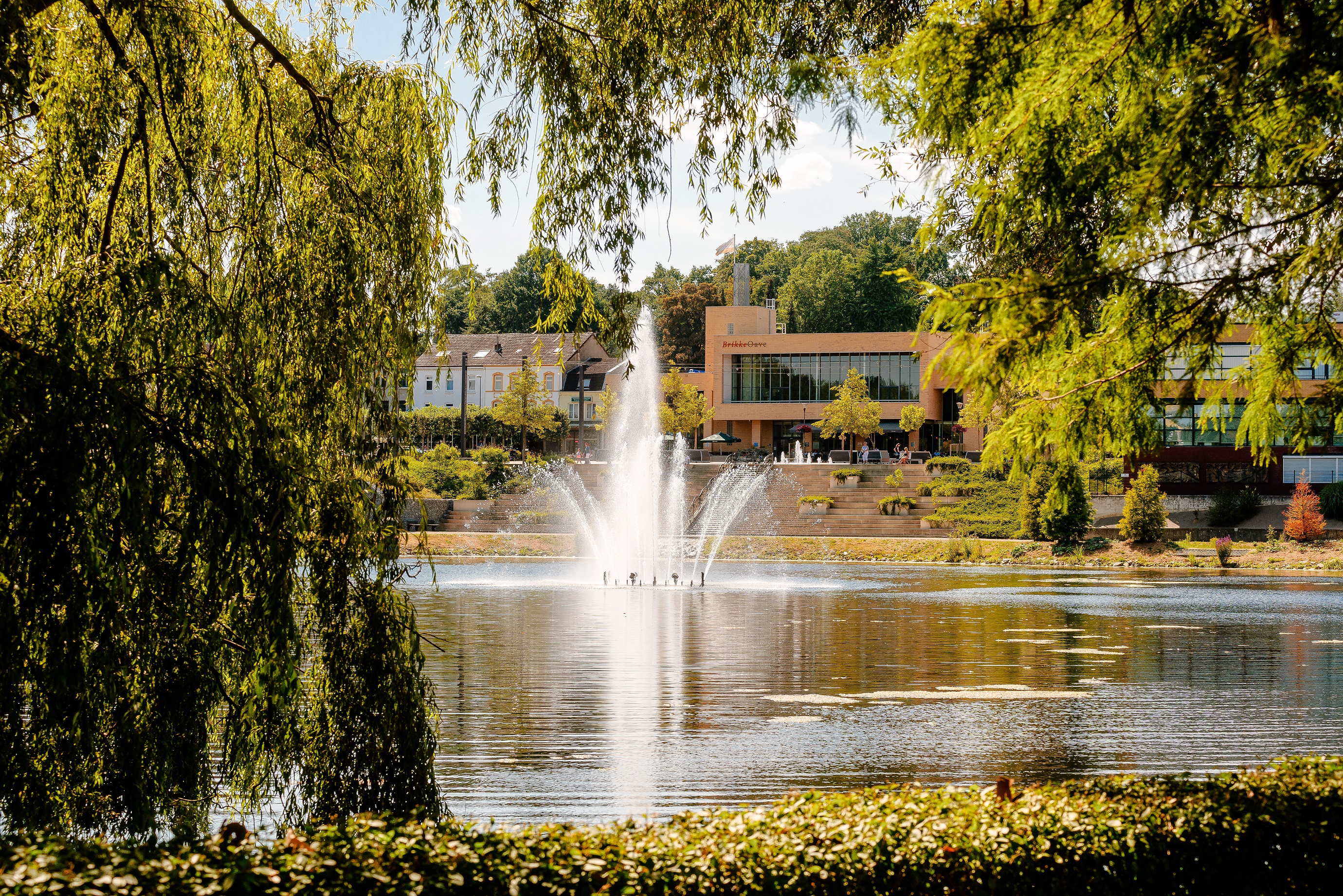 Foto vijverpark