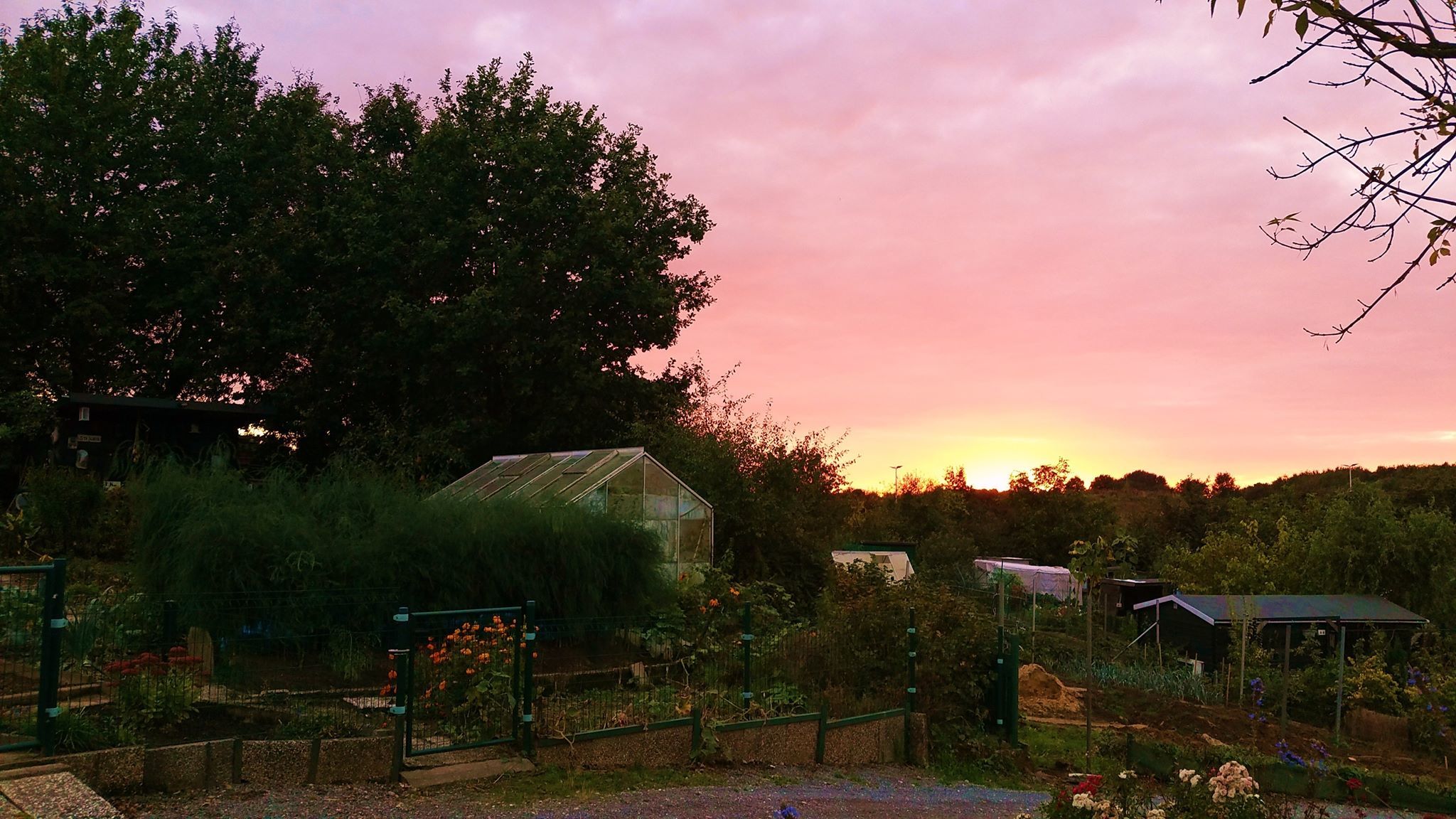 Volkstuinen bij zonsondergang