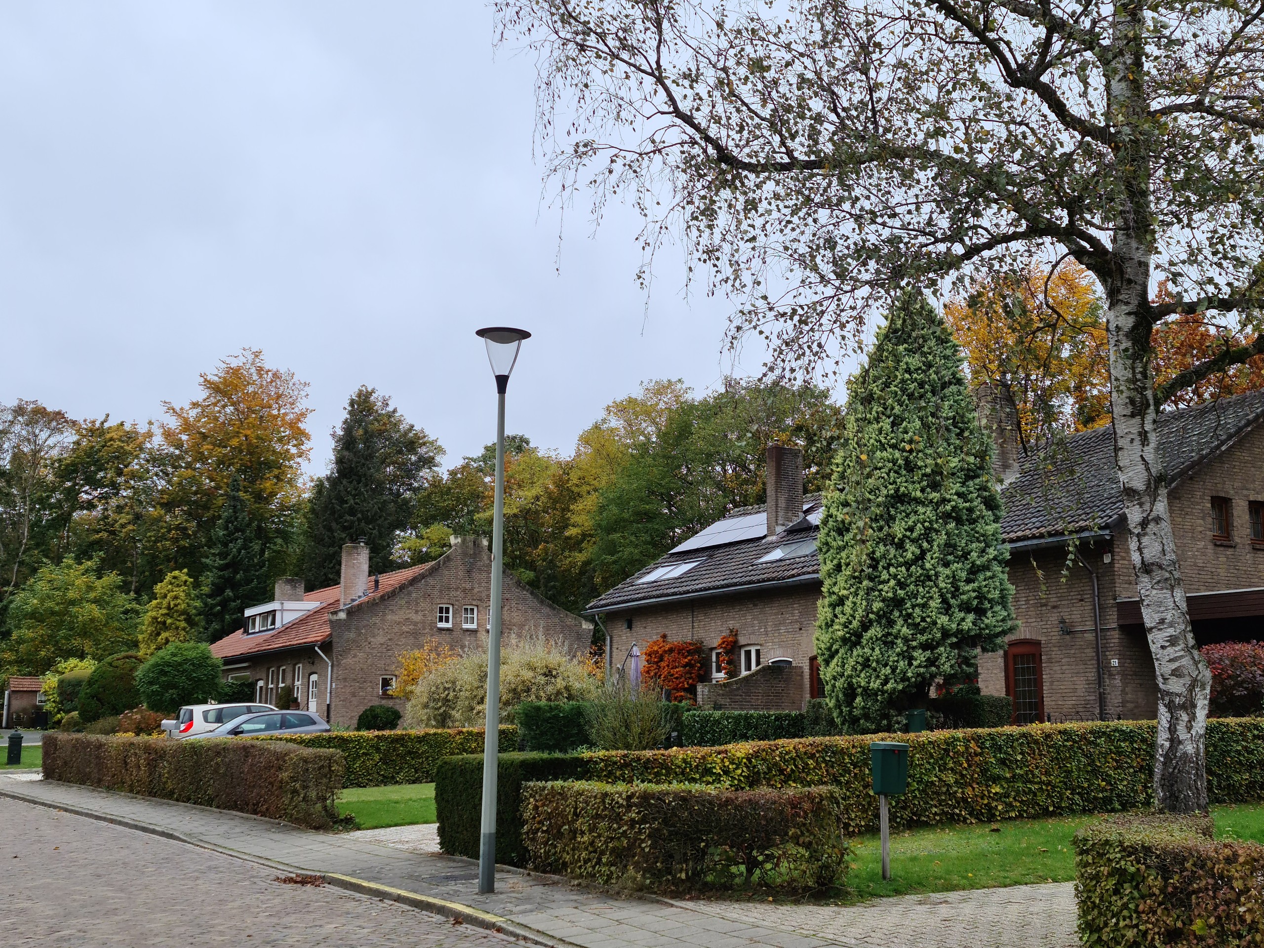 20201024_112027 (2)