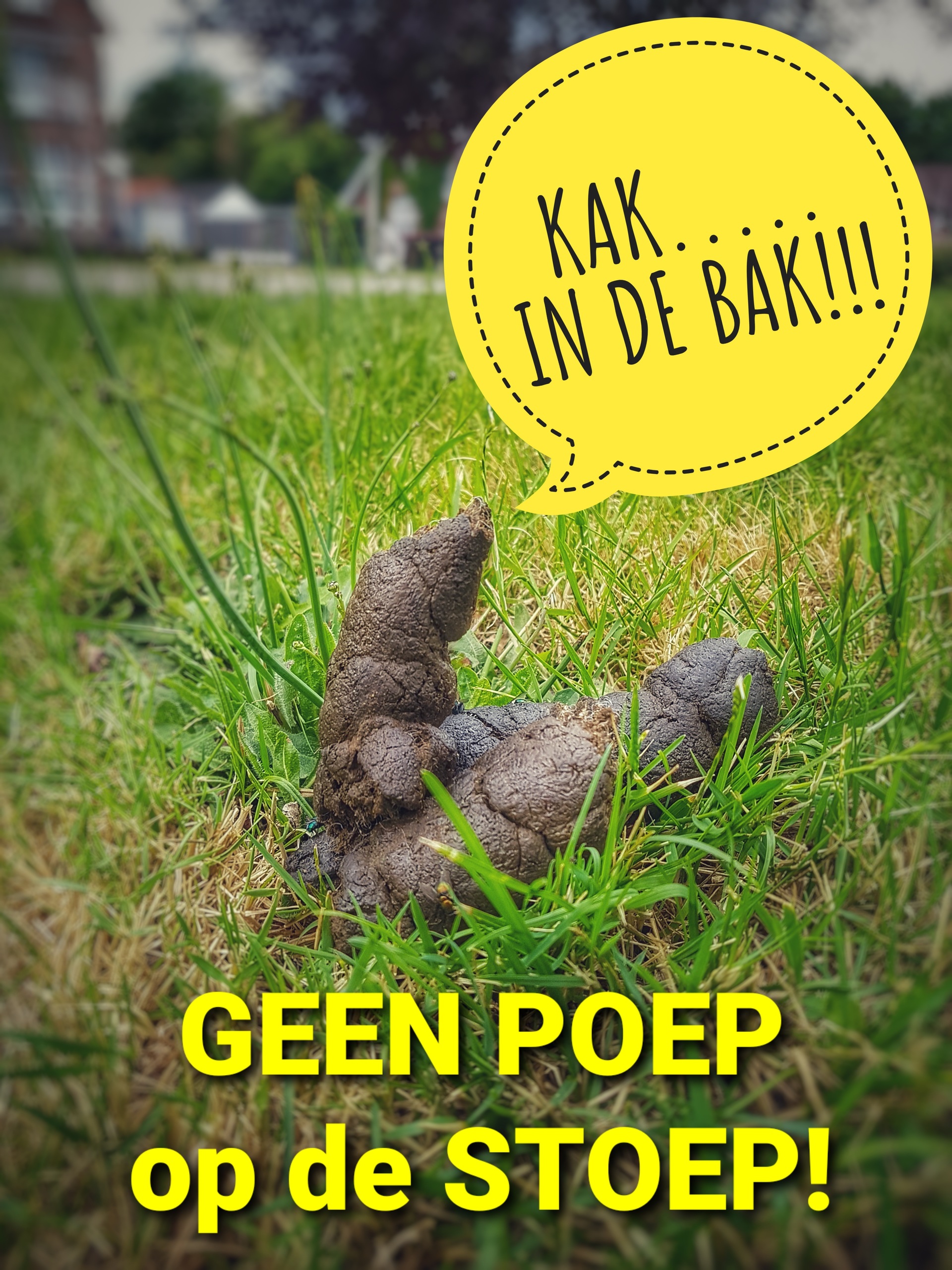 KAK in de BAK