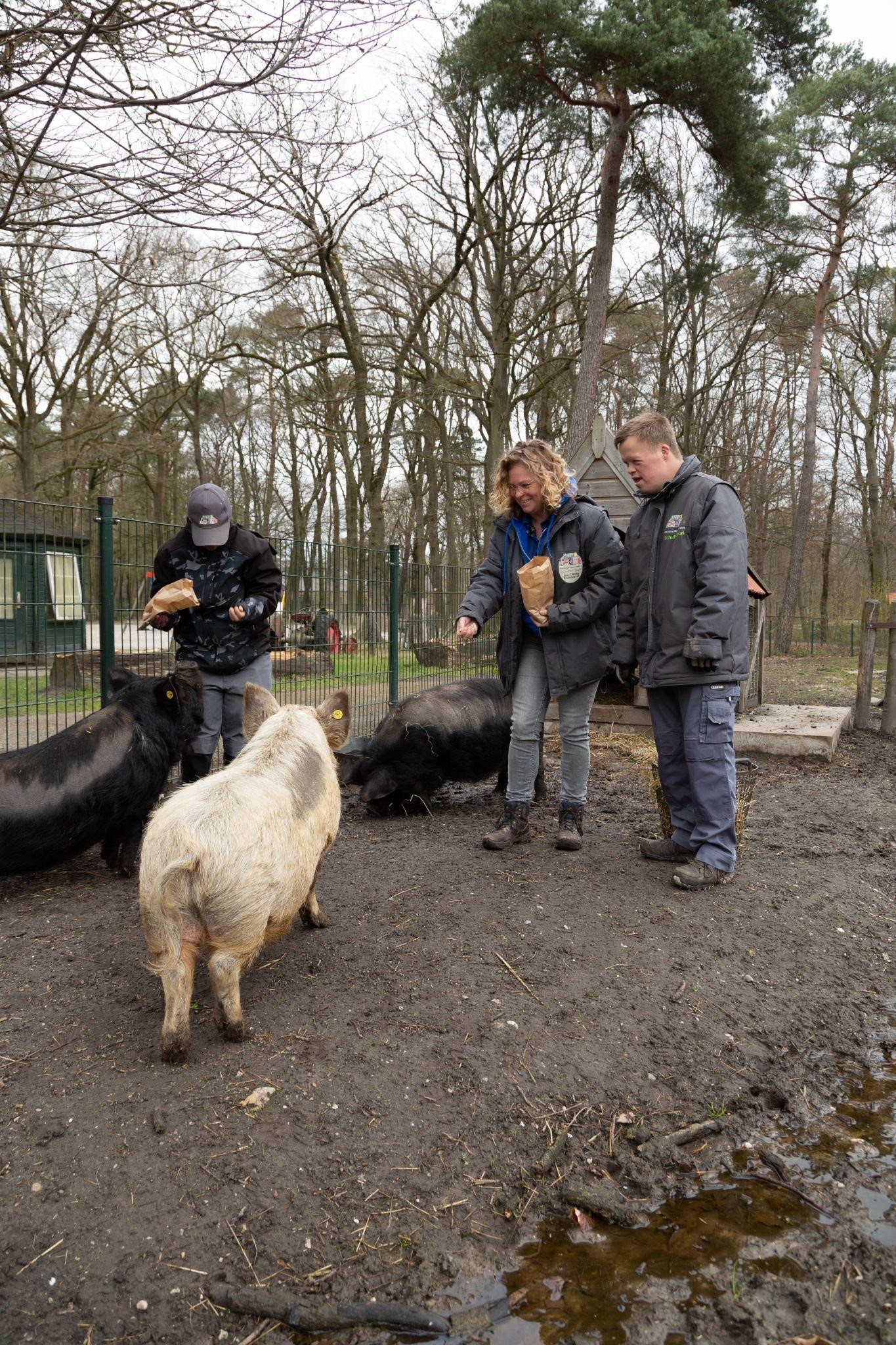 dieren kinderboerderij