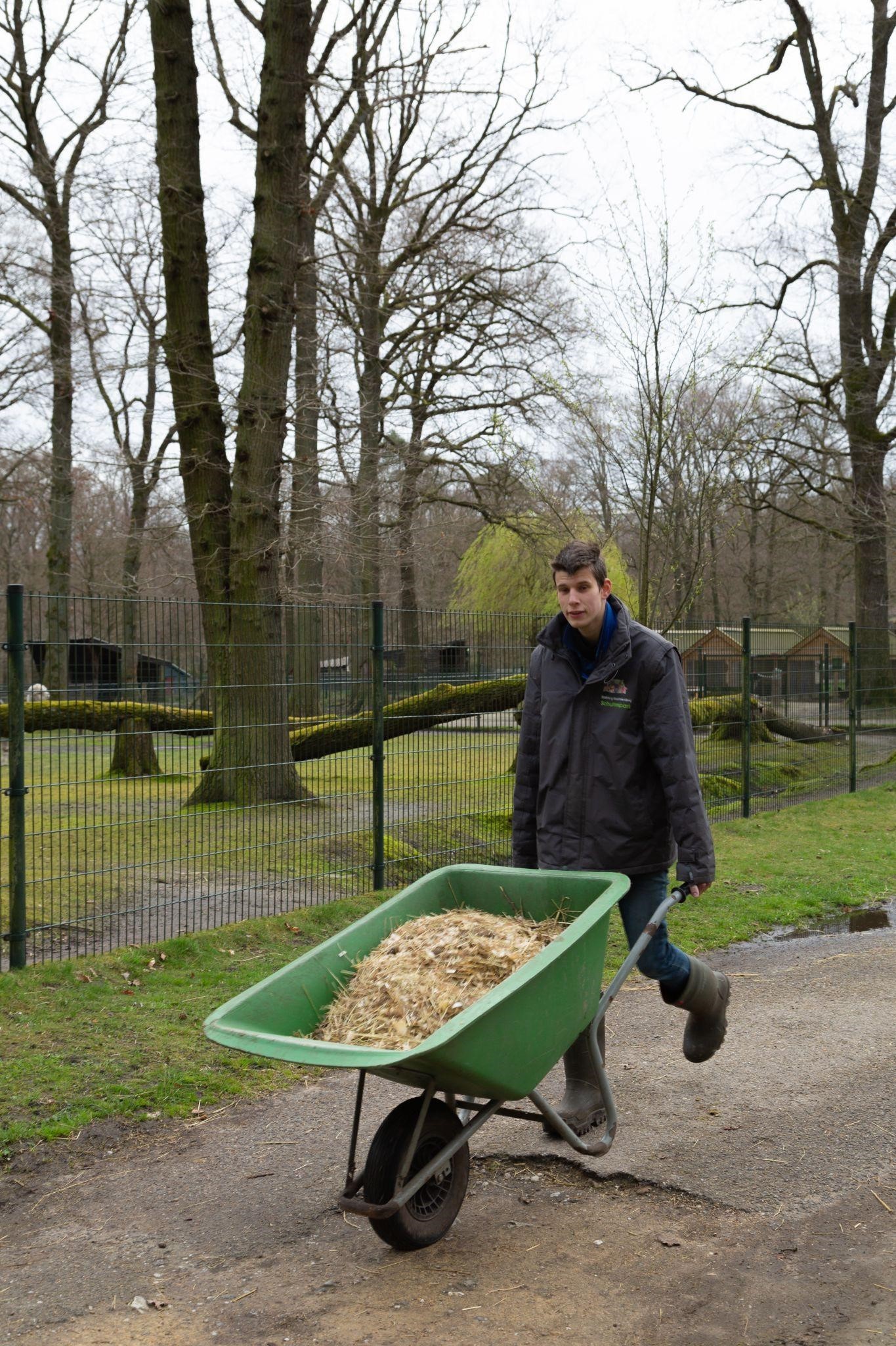 Kinderboerij 1