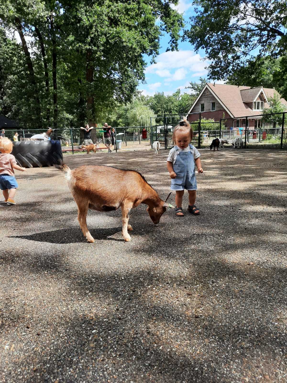 0322f680-c5ac-44e2-8e6c-1ebd7b8ed1f4